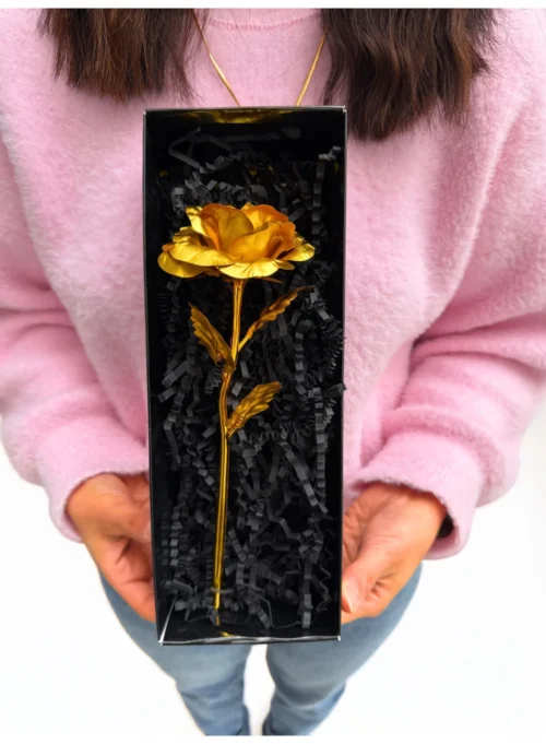 Gold sonsuzluk gülü siyah hediye kutusunda yakın plan